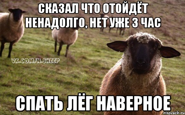 Сказал что отойдёт ненадолго, нет уже 3 час Спать лёг наверное, Мем  Наивная Овца