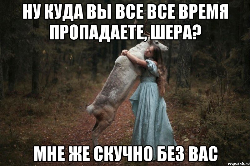 ну куда Вы все все время пропадаете, Шера? мне же скучно без Вас, Мем Наивный Олень шаблон 5