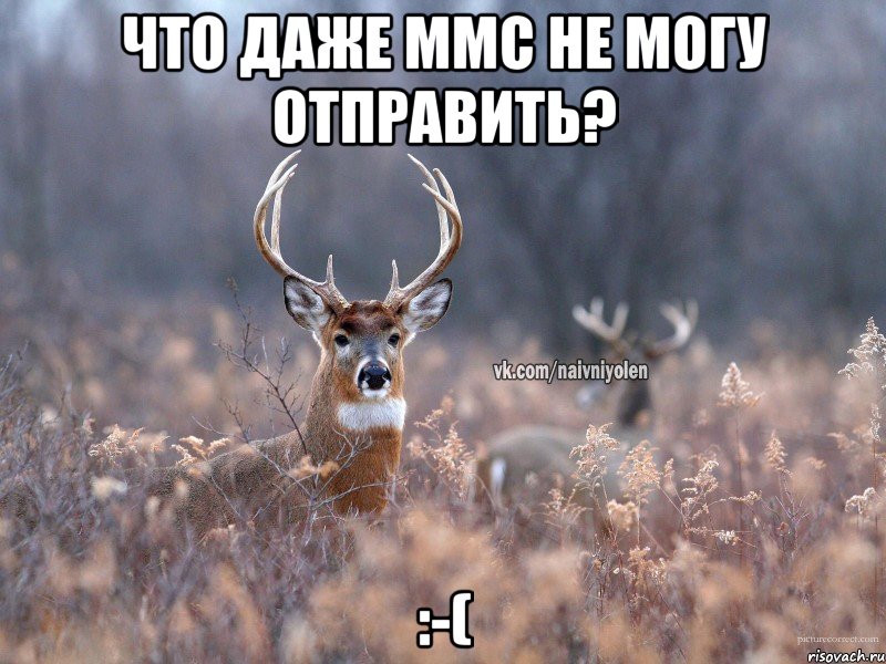 Что даже ммс не могу отправить? :-(, Мем   Наивный олень