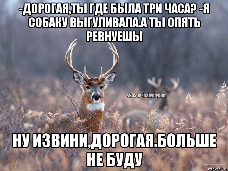 -Дорогая,ты где была три часа? -Я собаку выгуливала.А ты опять ревнуешь! Ну извини,дорогая.Больше не буду, Мем   Наивный олень