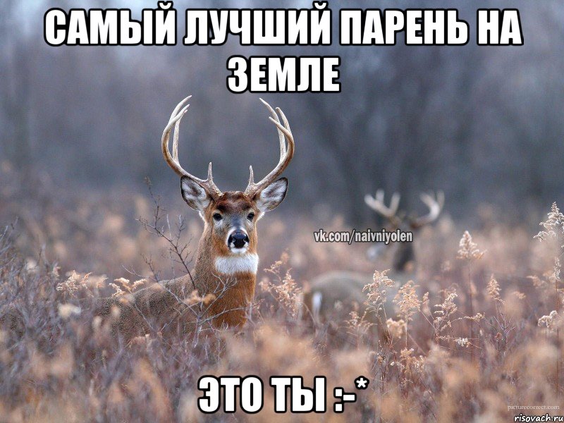 Самый лучший парень на земле Это ты :-*, Мем   Наивный олень