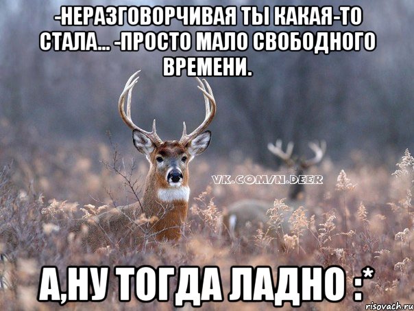 -Неразговорчивая ты какая-то стала... -Просто мало свободного времени. А,ну тогда ладно :*, Мем   Наивный олень