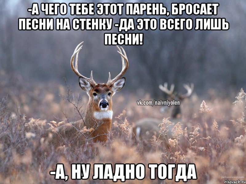 -а чего тебе этот парень, бросает песни на стенку -да это всего лишь песни! -а, ну ладно тогда