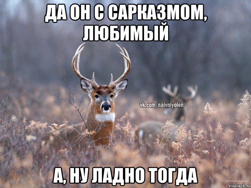 Да он с сарказмом, любимый А, ну ладно тогда, Мем   Наивный олень