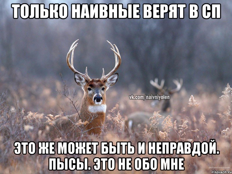 Только наивные верят в СП Это же может быть и неправдой. Пысы. Это не обо мне, Мем   Наивный олень