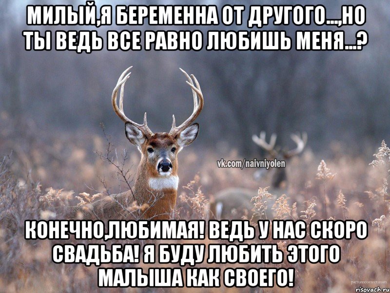 Милый,я беременна от другого...,но ты ведь все равно любишь меня...? Конечно,любимая! Ведь у нас скоро свадьба! Я буду любить этого малыша как своего!, Мем   Наивный олень