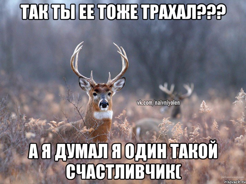 Так ты ее тоже трахал??? А я думал я один такой счастливчик(, Мем   Наивный олень