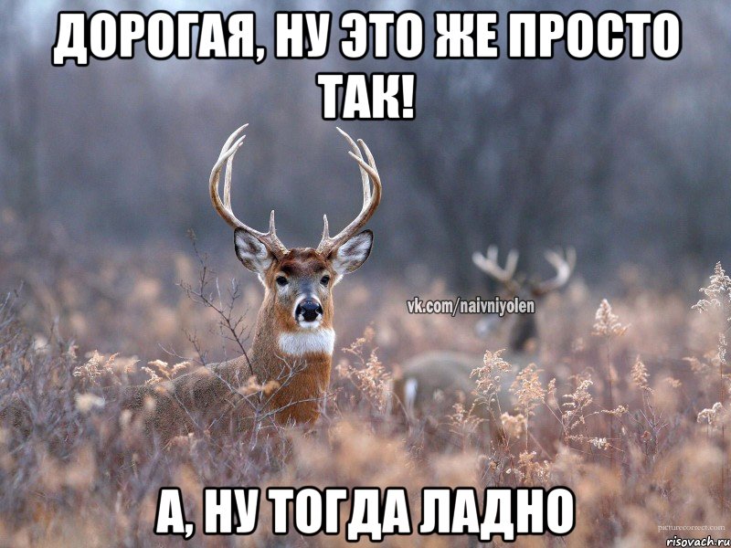 Дорогая, ну это же просто так! А, ну тогда ладно, Мем   Наивный олень