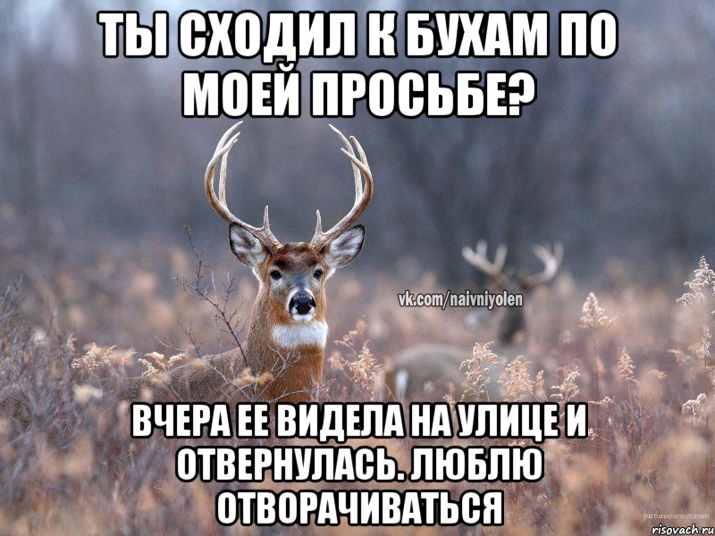 Ты сходил к бухам по моей просьбе? Вчера ее видела на улице и отвернулась. Люблю отворачиваться, Мем   Наивный олень