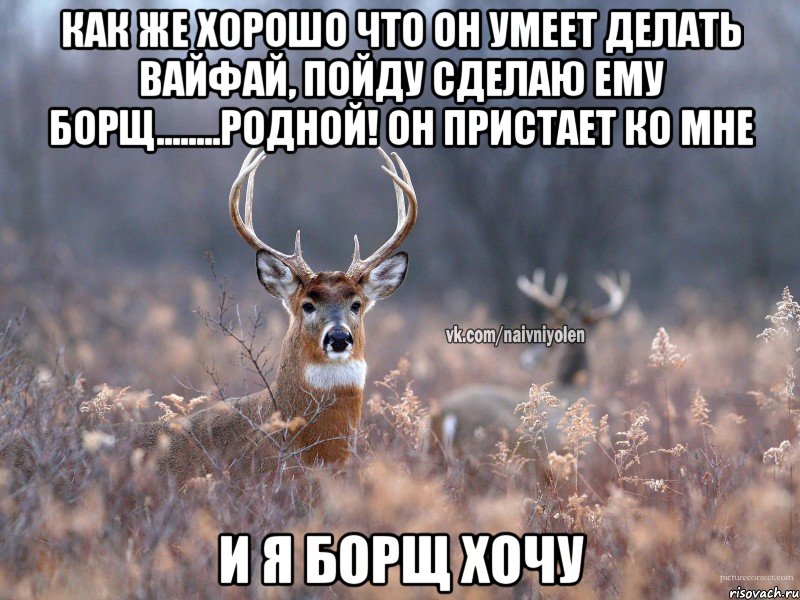 как же хорошо что он умеет делать вайфай, пойду сделаю ему борщ........родной! он пристает ко мне и я борщ хочу, Мем   Наивный олень