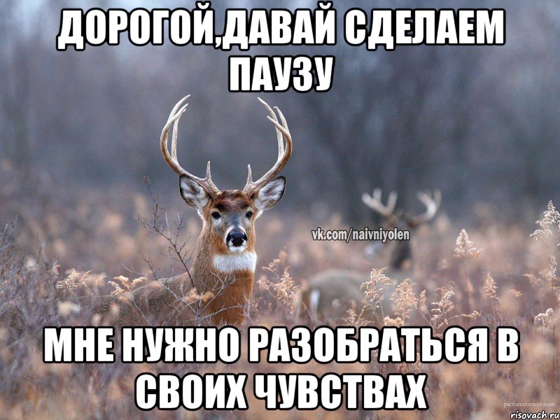 ДОРОГОЙ,ДАВАЙ СДЕЛАЕМ ПАУЗУ МНЕ НУЖНО РАЗОБРАТЬСЯ В СВОИХ ЧУВСТВАХ, Мем   Наивный олень