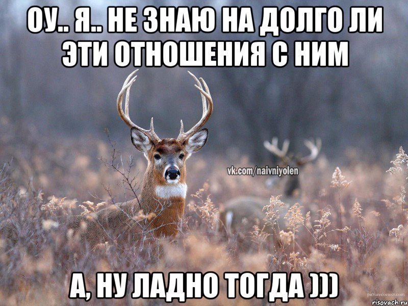 Оу.. я.. не знаю на долго ли эти отношения с ним А, ну ладно тогда ))), Мем   Наивный олень