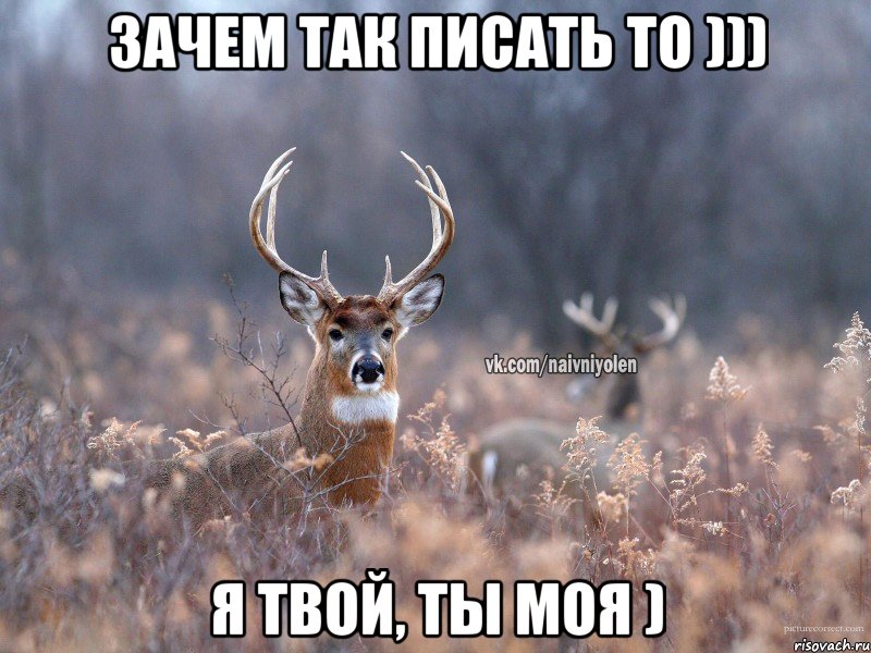 Зачем так писать то ))) Я твой, ты моя ), Мем   Наивный олень