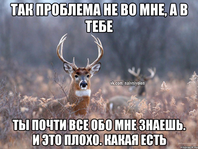 Так проблема не во мне, а в тебе Ты почти все обо мне знаешь. И это плохо. Какая есть, Мем   Наивный олень