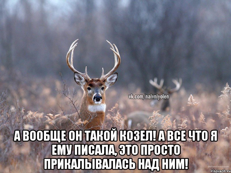  А вообще он такой козел! А все что я ему писала, это просто прикалывалась над ним!, Мем   Наивный олень