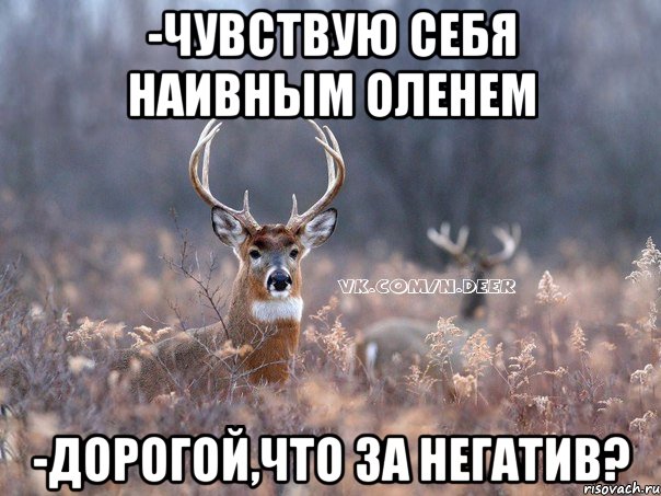 -чувствую себя наивным оленем -дорогой,что за негатив?, Мем   Наивный олень