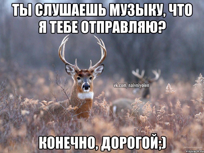 Ты слушаешь музыку, что я тебе отправляю? Конечно, дорогой;)