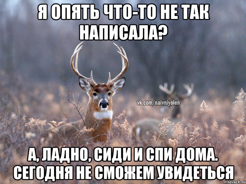 Я опять что-то не так написала? А, ладно, сиди и спи дома. Сегодня не сможем увидеться, Мем   Наивный олень