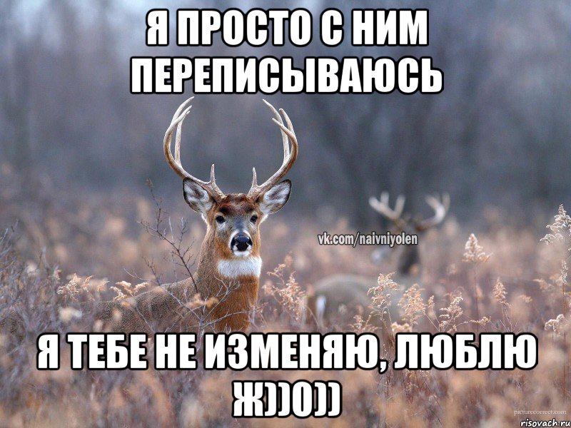 я просто с ним переписываюсь я тебе не изменяю, люблю ж))0)), Мем   Наивный олень