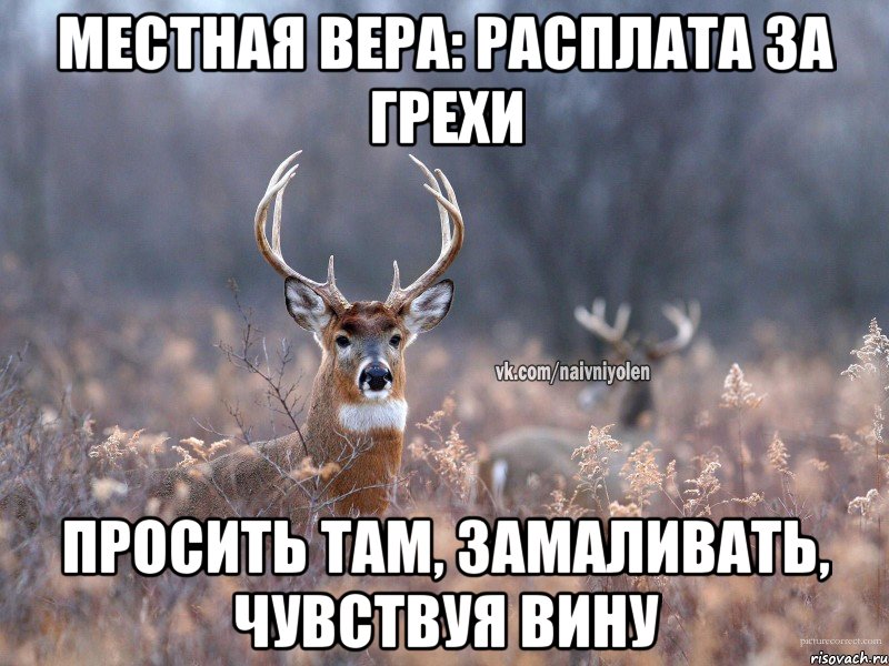 Местная вера: расплата за грехи Просить там, замаливать, чувствуя вину, Мем   Наивный олень