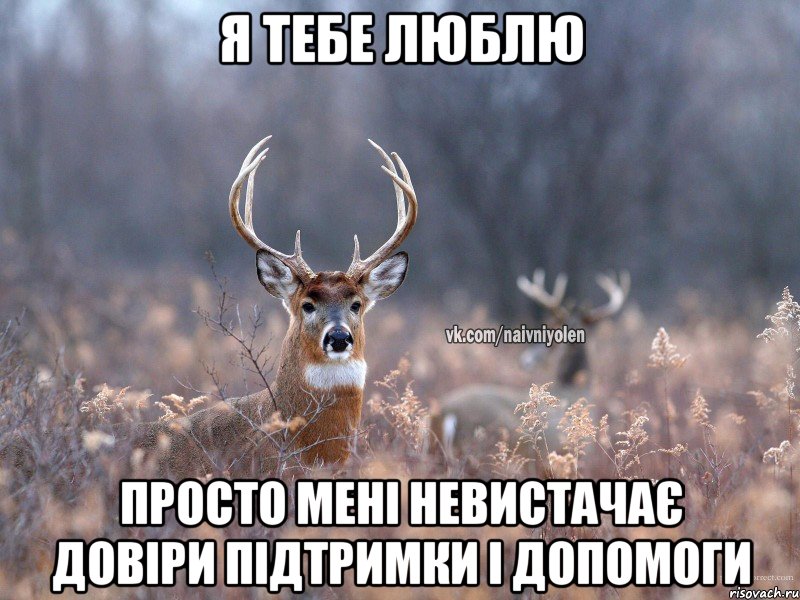 Я тебе люблю Просто мені невистачає довіри підтримки і допомоги, Мем   Наивный олень