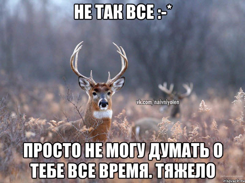 Не так все :-* Просто не могу думать о тебе все время. Тяжело, Мем   Наивный олень