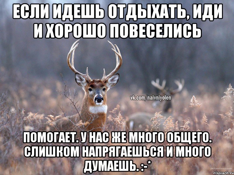 Если идешь отдыхать, иди и хорошо повеселись Помогает. У нас же много общего. Слишком напрягаешься и много думаешь. :-*, Мем   Наивный олень