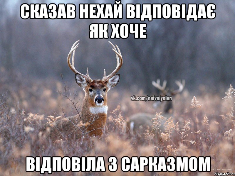 Сказав нехай відповідає як хоче Відповіла з сарказмом, Мем   Наивный олень