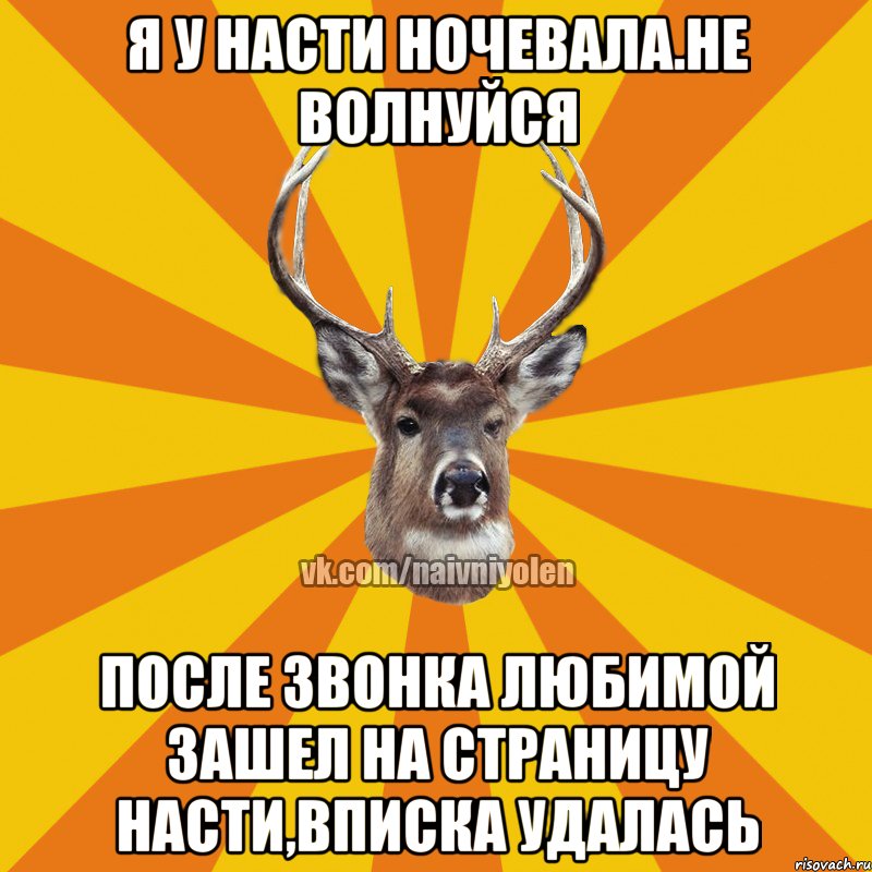 я у Насти ночевала.Не волнуйся после звонка любимой зашел на страницу Насти,вписка удалась, Мем Наивный Олень вк