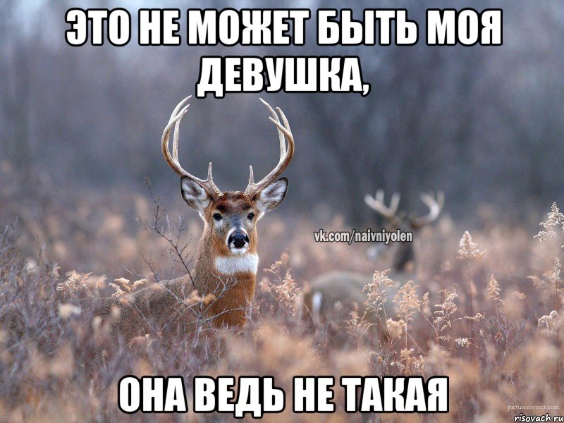 это не может быть моя девушка, она ведь не такая, Мем   Наивный олень