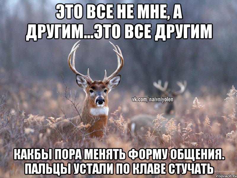 Это все не мне, а другим...это все другим Какбы пора менять форму общения. Пальцы устали по клаве стучать, Мем   Наивный олень