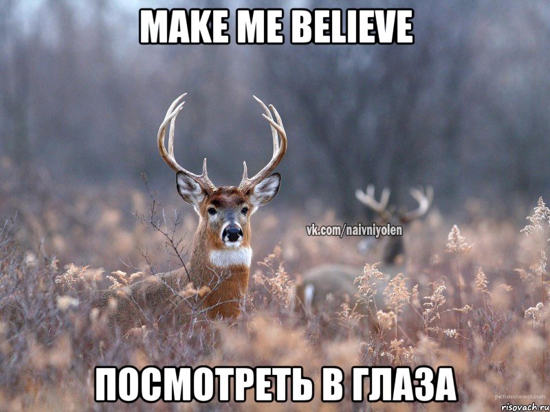 Make me believe Посмотреть в глаза, Мем   Наивный олень