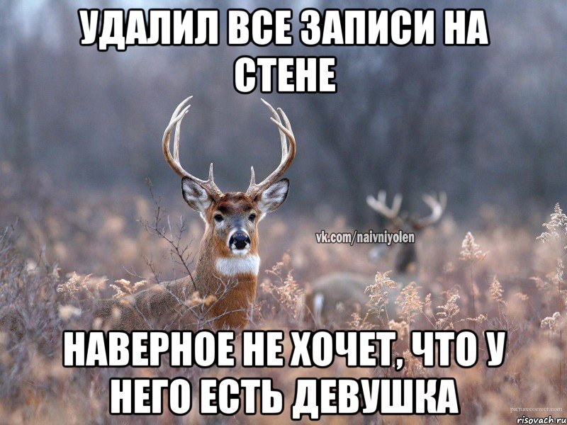 Удалил все записи на стене Наверное не хочет, что у него есть девушка, Мем   Наивный олень