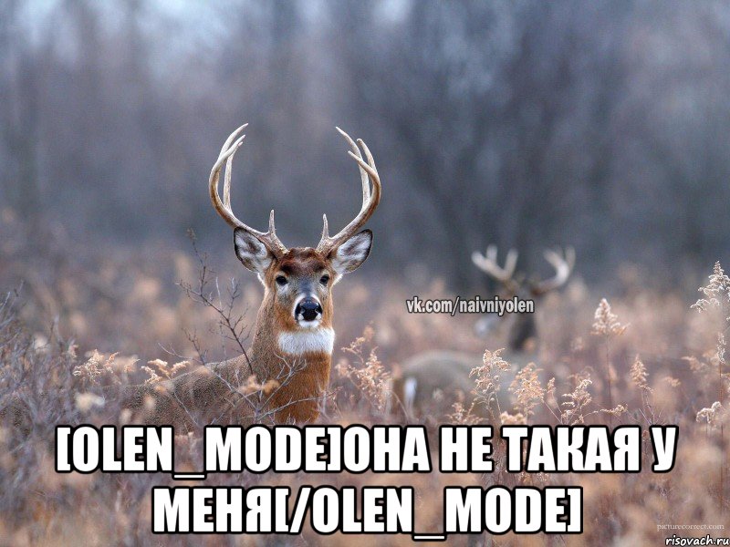  [olen_mode]она не такая у меня[/olen_mode], Мем   Наивный олень