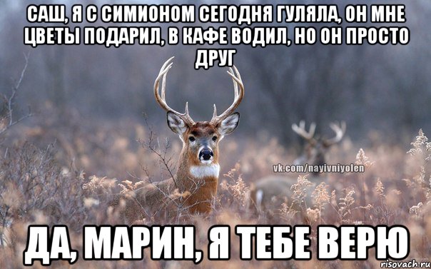 Саш, я с Симионом сегодня гуляла, он мне цветы подарил, в кафе водил, но он просто друг Да, Марин, я тебе верю, Мем   Наивный олень