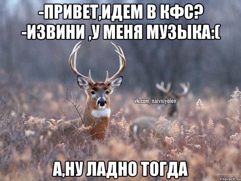 -Привет,идем в кфс? -извини ,у меня музыка:( а,ну ладно тогда, Мем   Наивный олень