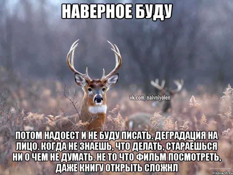 Наверное буду Потом надоест и не буду писать. Деградация на лицо. Когда не знаешь, что делать, стараешься ни о чем не думать. Не то что фильм посмотреть, даже книгу открыть сложнл, Мем   Наивный олень