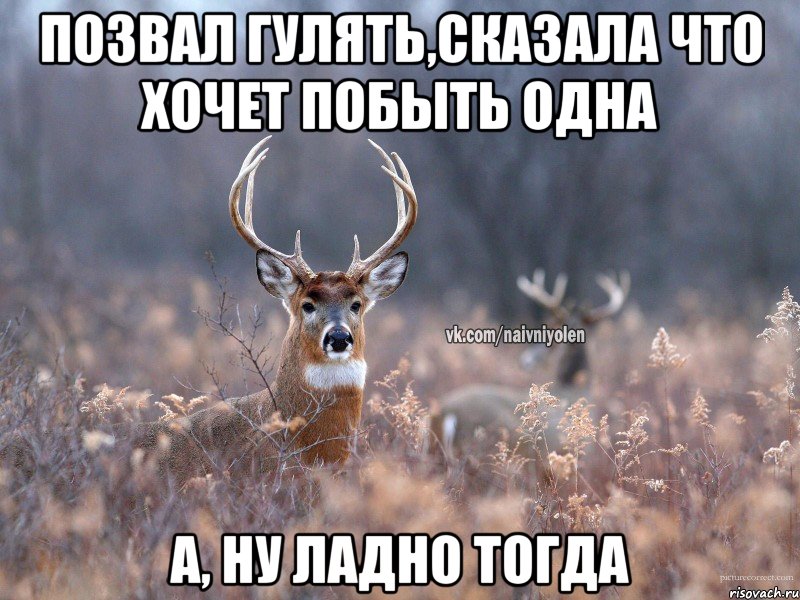 Позвал гулять,сказала что хочет побыть одна А, ну ладно тогда, Мем   Наивный олень