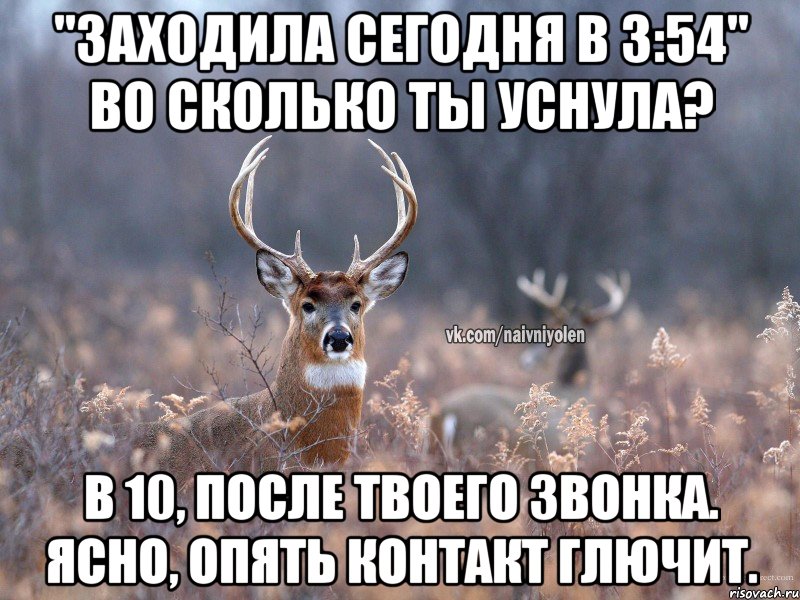 "заходила сегодня в 3:54" Во сколько ты уснула? В 10, после твоего звонка. Ясно, Опять контакт глючит., Мем   Наивный олень