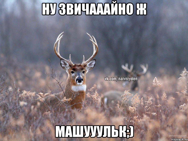 ну звичааайно ж Машууульк;), Мем   Наивный олень