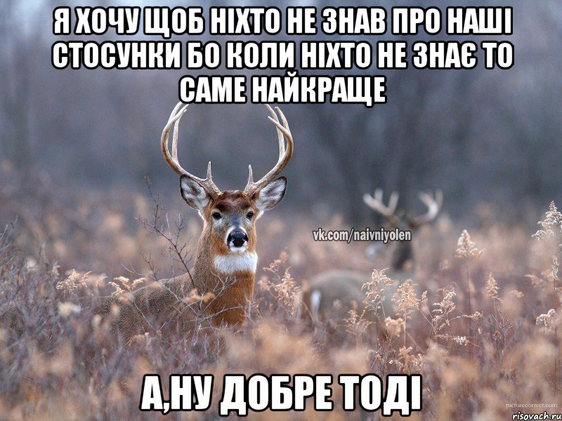 Я хочу щоб ніхто не знав про наші стосунки бо коли ніхто не знає то саме найкраще А,ну добре тоді, Мем   Наивный олень