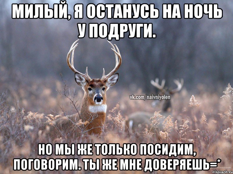 Милый, я останусь на ночь у подруги. Но мы же только посидим, поговорим. Ты же мне доверяешь=*, Мем   Наивный олень