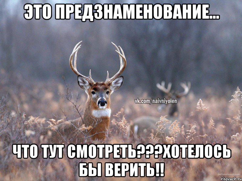 Это предзнаменование... Что тут смотреть???Хотелось бы верить!!, Мем   Наивный олень