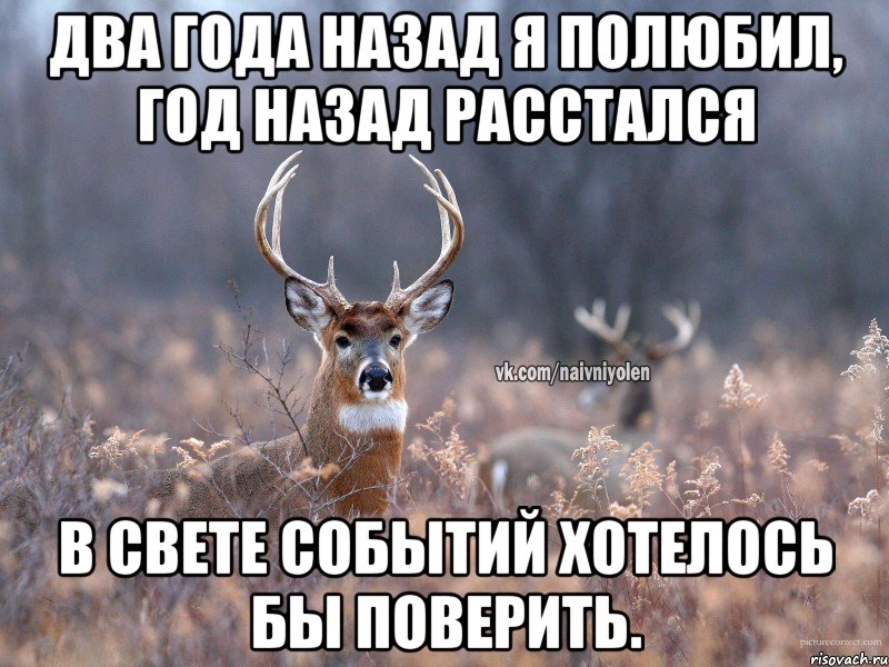 два года назад я полюбил, год назад расстался в свете событий хотелось бы поверить., Мем   Наивный олень