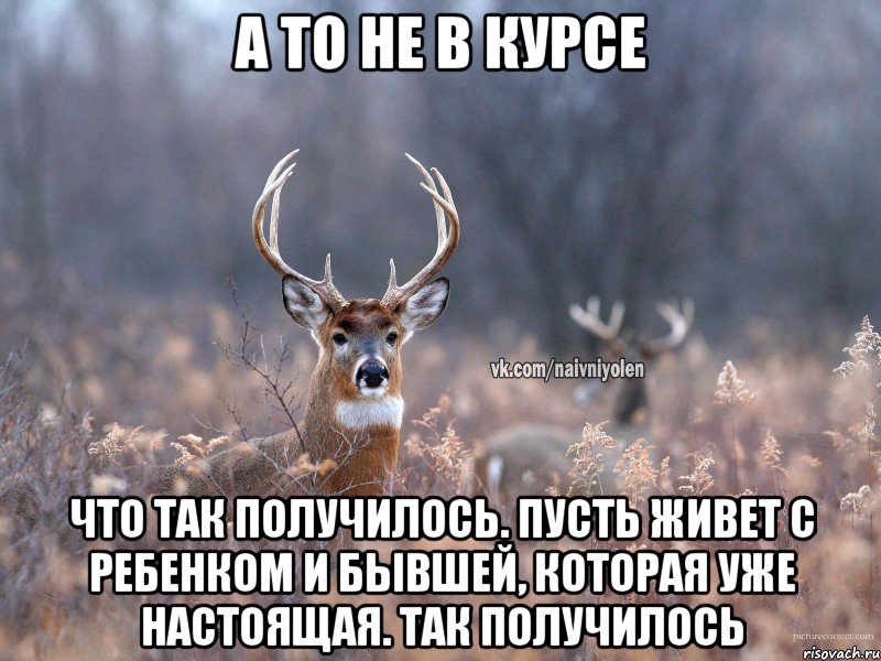 а то не в курсе что так получилось. Пусть живет с ребенком и бывшей, которая уже настоящая. так получилось, Мем   Наивный олень