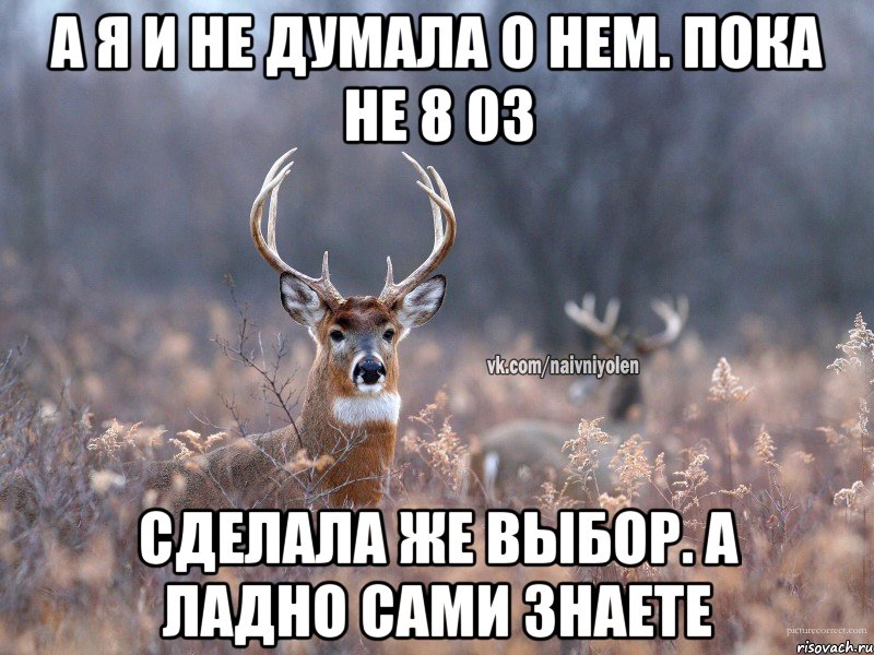 а я и не думала о нем. пока не 8 03 сделала же выбор. а ладно сами знаете, Мем   Наивный олень