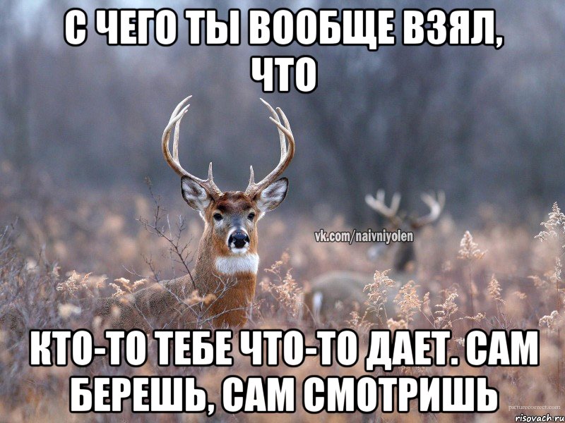 с чего ты вообще взял, что кто-то тебе что-то дает. сам берешь, сам смотришь, Мем   Наивный олень