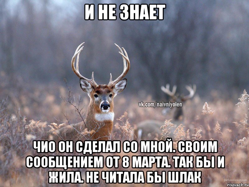 и не знает чио он сделал со мной. своим сообщением от 8 марта. так бы и жила. не читала бы шлак, Мем   Наивный олень