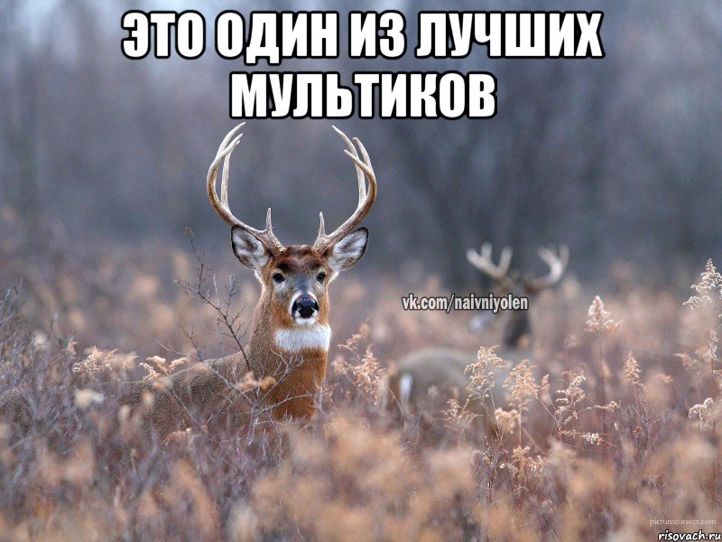 это один из лучших мультиков , Мем   Наивный олень