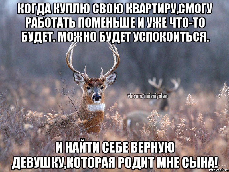 Когда куплю свою квартиру,смогу работать поменьше и уже что-то будет. Можно будет успокоиться. И найти себе верную девушку,которая родит мне сына!, Мем   Наивный олень